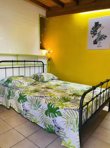 Appartement à Basse Terre, Studio charmant à Basse Terre, vue sur jardin, 15 m² - L1069065