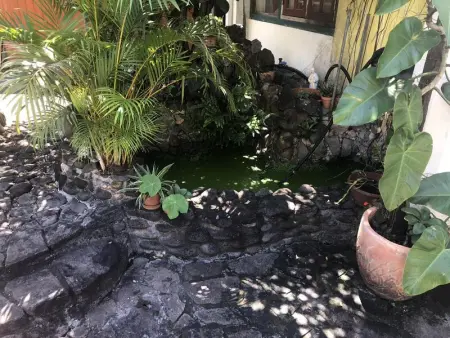 Studio charmant à Basse Terre, vue sur jardin, 15 m² - Photo 7