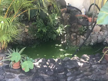 Studio charmant à Basse Terre, vue sur jardin, 15 m² - Photo 8