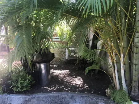 Studio charmant à Basse Terre, vue sur jardin, 15 m² - Photo 10