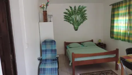 Appartement cosy au Robert - 28 m² avec jardin sublime - Photo 4