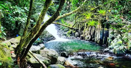 Maison charmante à Vieux Habitants avec terrasse ensoleillée - Photo 10