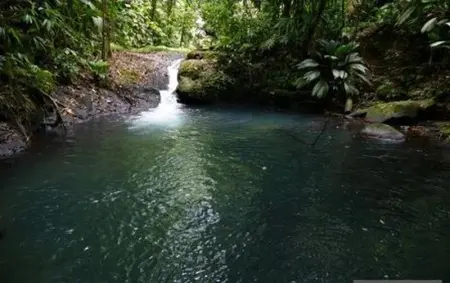 Maison charmante à Vieux Habitants avec terrasse ensoleillée - Photo 11