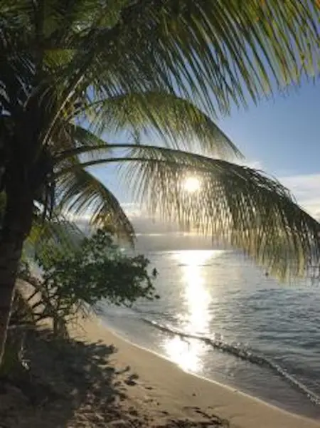 Appartement charmant à Pointe-Noire, vue mer, 51 m², piscine - Photo 9