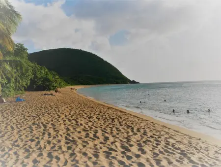 Appartement charmant à Pointe-Noire, vue mer, 51 m², piscine - Photo 10