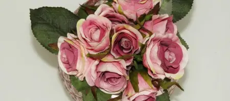 Appartement confortable au Moule, 60 m², vue piscine - Photo 19