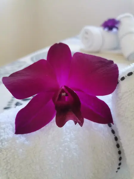 Bungalow charmant à Saint-François, Bungalow 4 personnes à Saint Francois - Photo 14