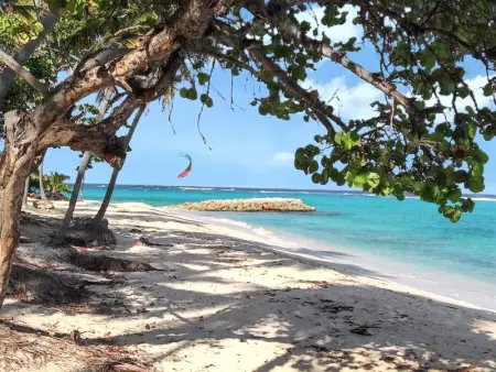 Studio avec terrasse à Capesterre-de-Marie-Galante 20 m² vue mer - Photo 8