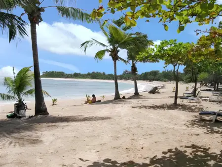Studio avec terrasse à Capesterre-de-Marie-Galante 20 m² vue mer - Photo 10