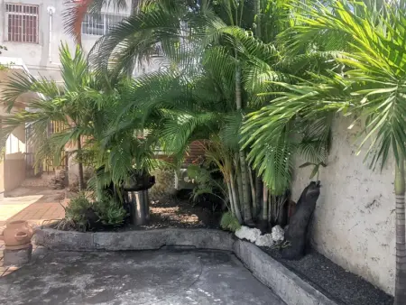 Appartement charmant à Basse-Terre - 25 m² avec jardin - Photo 5