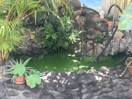 Appartement charmant à Basse-Terre - 25 m² avec jardin - Photo 6