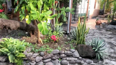 Appartement charmant à Basse-Terre - 25 m² avec jardin - Photo 7