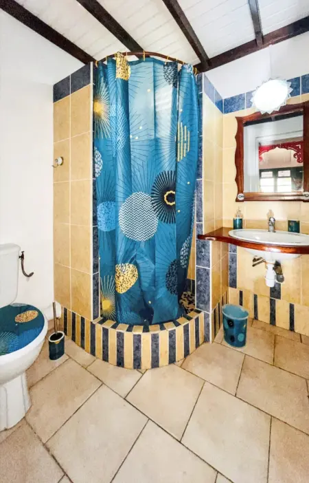 Appartement charmant à Basse-Terre - 25 m² avec jardin - Photo 8