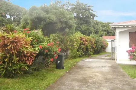 Studio cosy à Capesterre Belle Eau 24 m² avec jardin privé - Photo 10