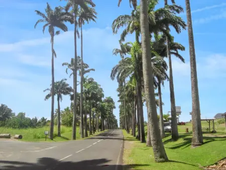 Studio cosy à Capesterre Belle Eau 24 m² avec jardin privé - Photo 11