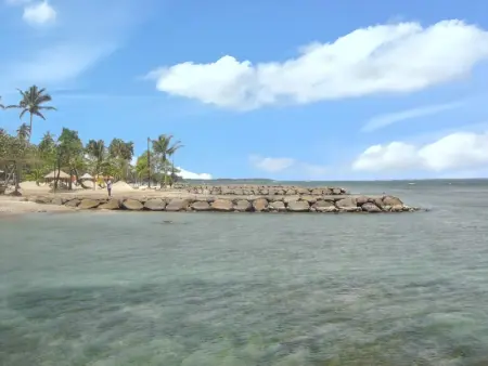 Studio cosy à Capesterre Belle Eau 24 m² avec jardin privé - Photo 15