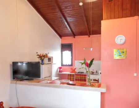 Studio cosy à Capesterre Belle Eau 24 m² avec jardin privé - Photo 23