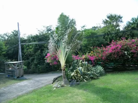 Chalet charmant à Bouillante avec piscine partagée - Photo 22