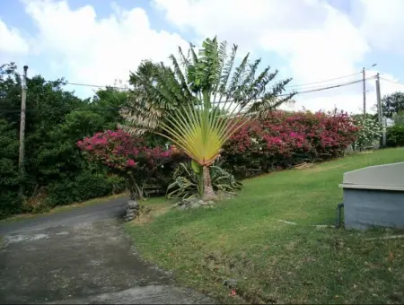 Chalet charmant à Bouillante avec piscine partagée - Photo 24