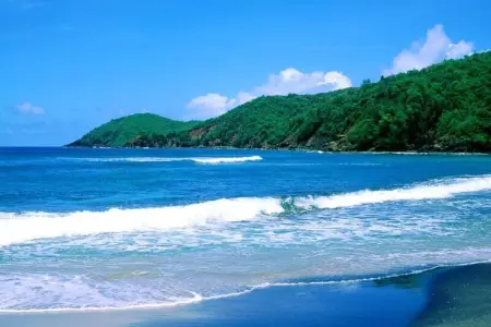 Studio charmant à La Trinité - Vue mer - 40 m² - Photo 8