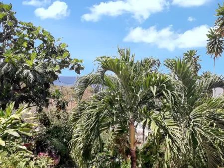 Studio confortable à Vieux Habitants 50 m² avec vue mer - Photo 9