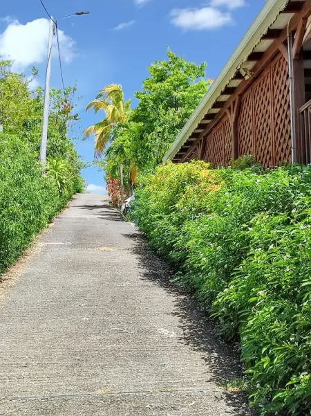 Studio confortable à Vieux Habitants 50 m² avec vue mer - Photo 10