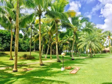 Studio Confort Anse Des Rochers 27m² Piscine, Appartement 2 personnes à Saint François - Photo 16