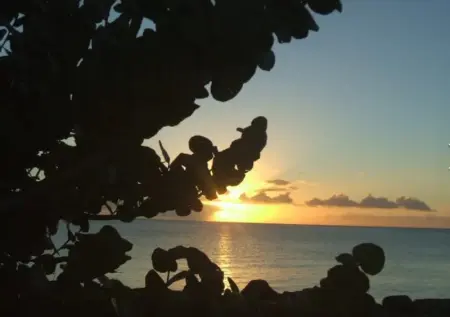 Maison charmante avec vue sur montagne à Bouillante + Terrasse - Photo 7