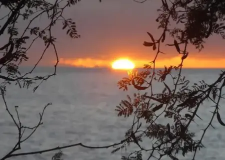 Maison charmante avec vue sur montagne à Bouillante + Terrasse - Photo 9