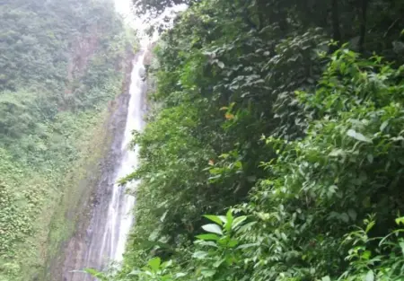 Maison charmante avec vue sur montagne à Bouillante + Terrasse - Photo 10