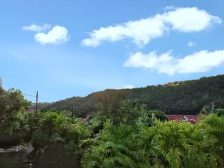 Maison en bord de mer à Saint-Claude avec jardin et vue imprenable - Photo 11