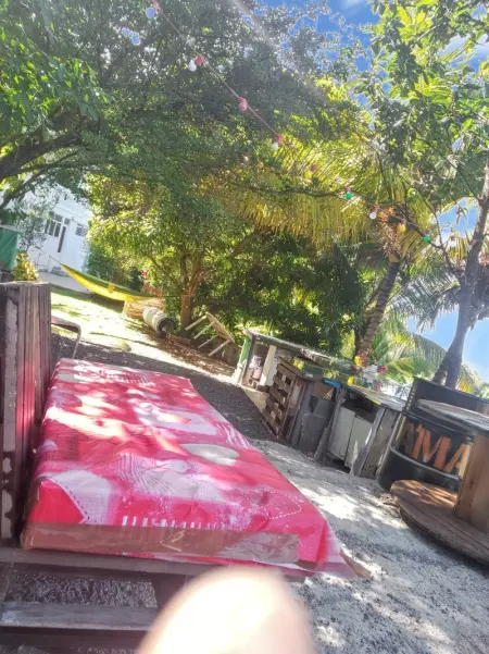 Maison en bord de mer à Saint-Claude avec jardin et vue imprenable - Photo 13