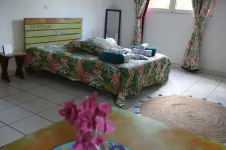 Charmant studio à La Trinité 30 m² avec jardin privé - Photo 4