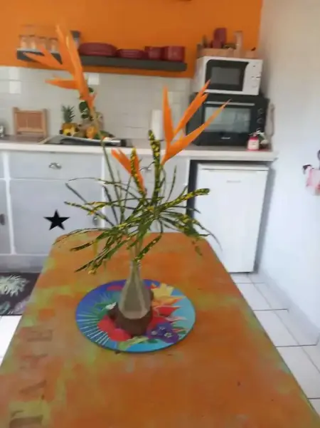 Charmant studio à La Trinité 30 m² avec jardin privé - Photo 10