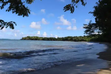 Charmant studio à La Trinité 30 m² avec jardin privé - Photo 20