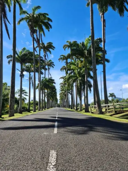 Appartement charmant à Capesterre-Belle-Eau, 50 m² - Photo 16