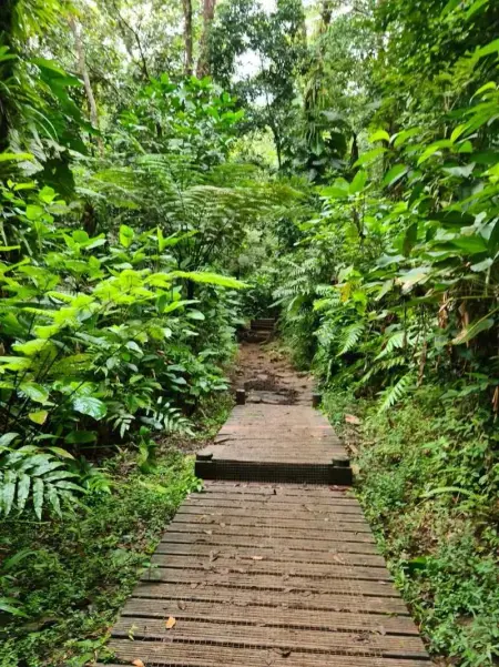 Appartement charmant à Capesterre-Belle-Eau, 50 m² - Photo 18