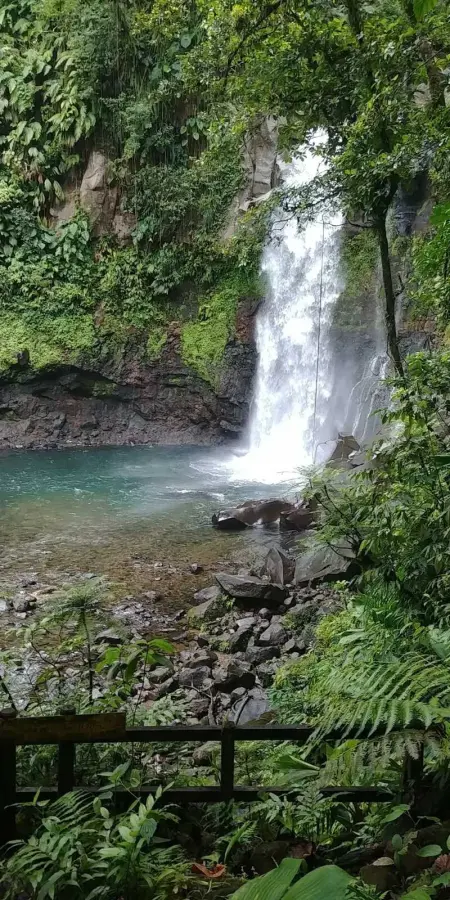 Appartement charmant à Capesterre-Belle-Eau, 50 m² - Photo 19