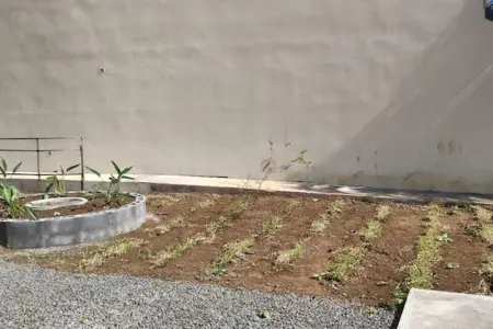 Appartement charmant à Saint Pierre 44 m² avec jardin clôturé - Photo 8