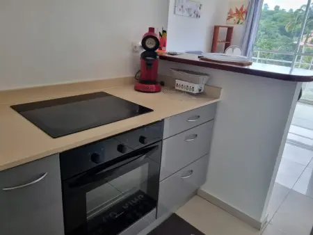 Appartement charmant aux Trois-Îlets 40 m² avec balcon privé - Photo 13