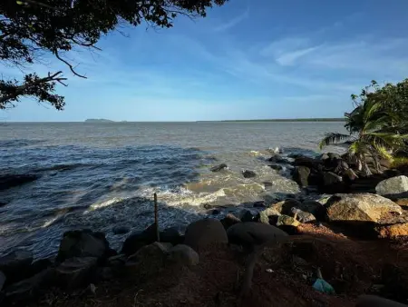 Studio confortable au cœur de Cayenne - Balcon avec vue - Photo 8