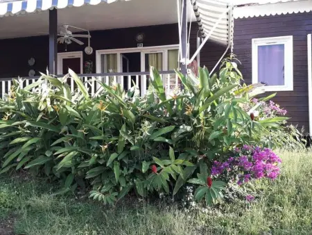 Charmant bungalow à Bouillante avec vue sur la mer - Photo 17