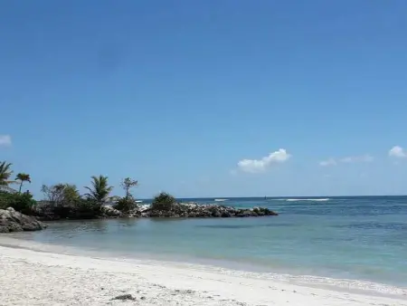 Charmant bungalow à Bouillante avec vue sur la mer - Photo 32