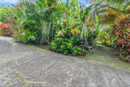 Bungalow charmant à Rivière-Salée avec terrasse privée - Photo 21
