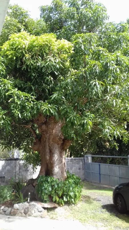 Appartement confortable Pointe-Noire + Terrasse, Appartement 6 personnes à Pointe Noire - Photo 9