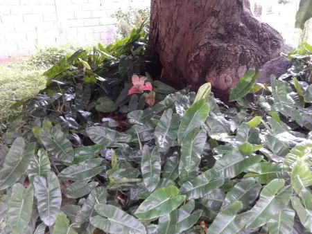 Appartement confortable Pointe-Noire + Terrasse, Appartement 6 personnes à Pointe Noire - Photo 10