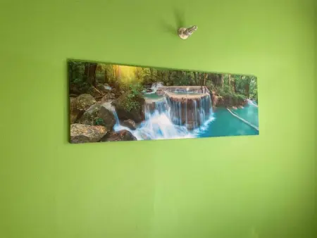 Maison élégante au Moule avec terrasse ensoleillée - Photo 13