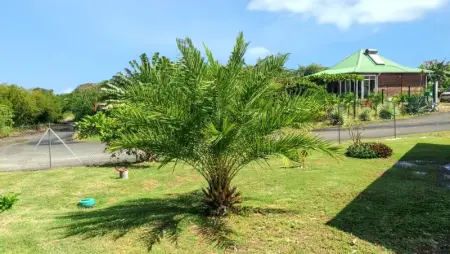 Maison accueillante à Anse-Bertrand avec jardin privé 70 m² - Photo 9