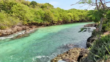 Maison accueillante à Anse-Bertrand avec jardin privé 70 m² - Photo 17