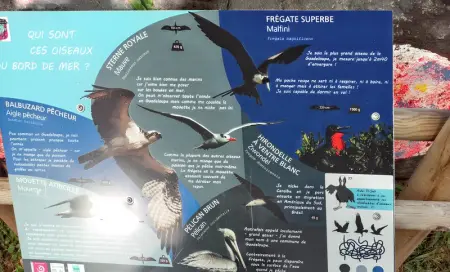 Maison accueillante à Anse-Bertrand avec jardin privé 70 m² - Photo 21